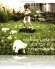 Songs for Polarbears - Ecouter de la musique