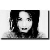 Ecouter la musique de Björk - Ecouter de la musique