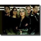 the cardigans